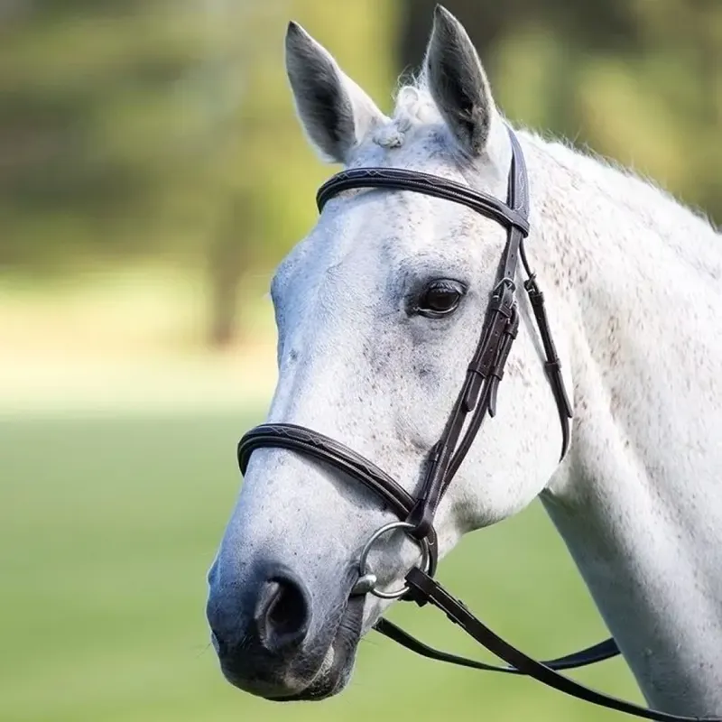 Shires Avignon Raised Cavesson Bridle in Black